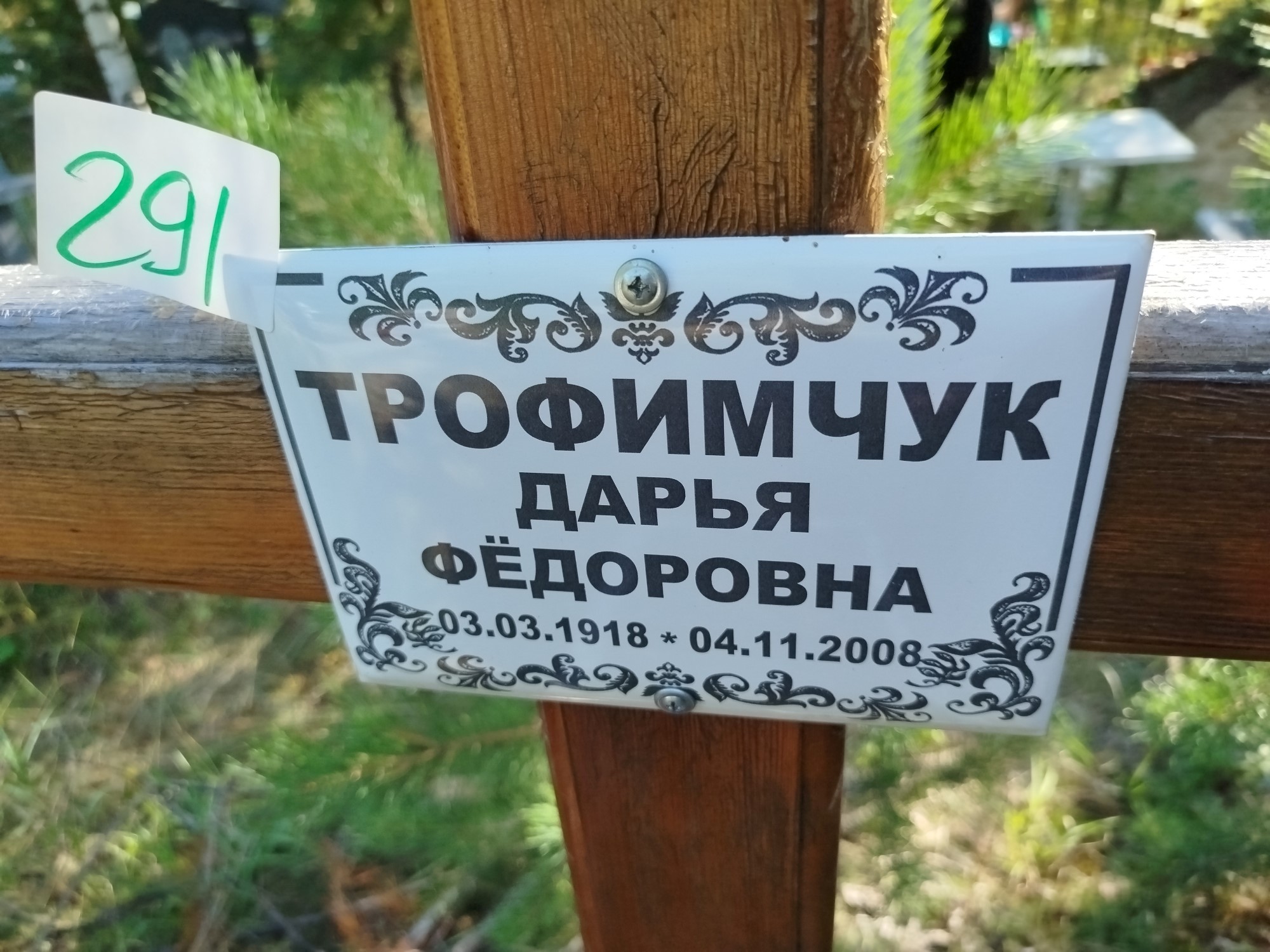 Трофимчук Дарья Федоровна