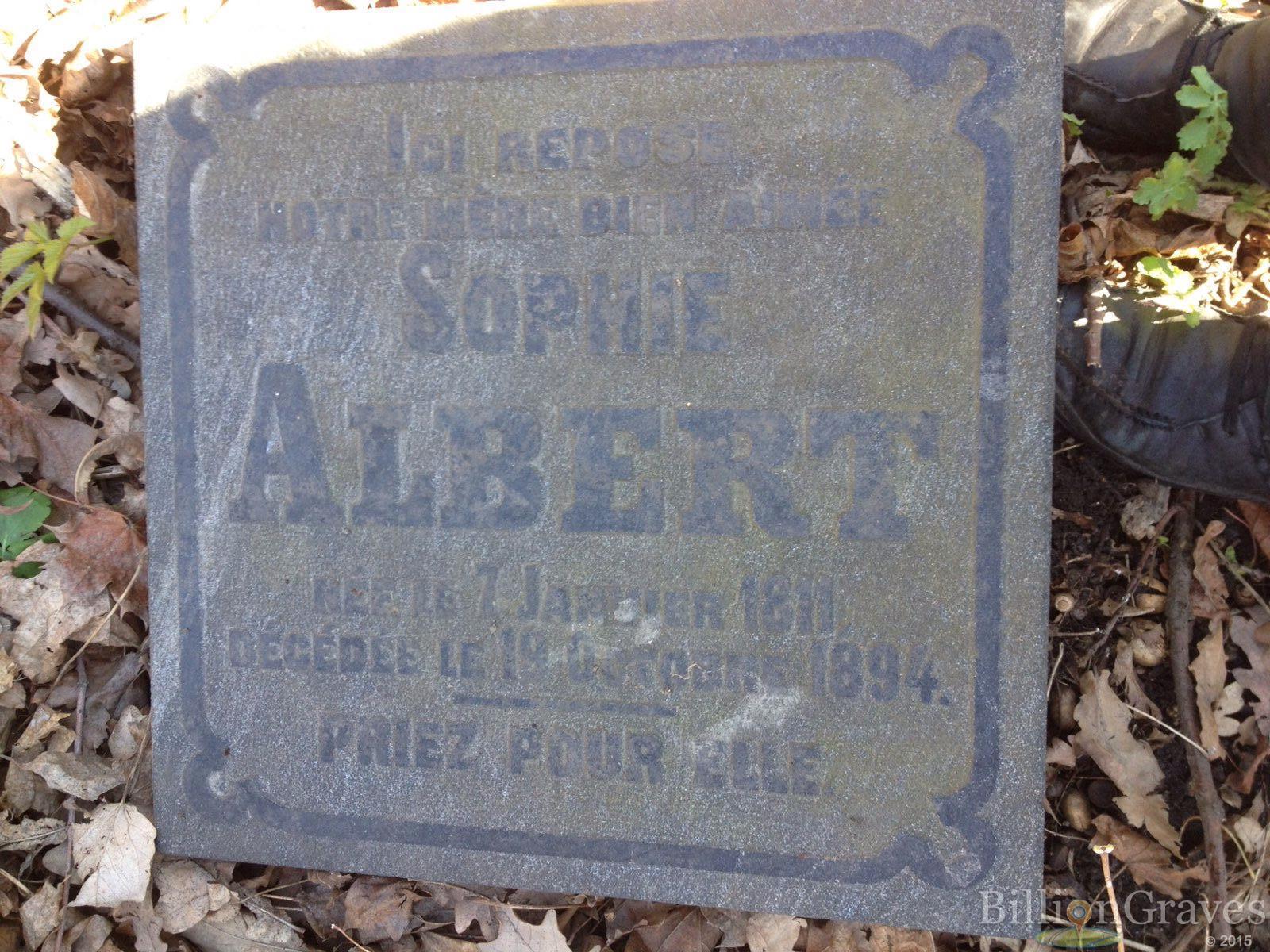 Albert Sophie