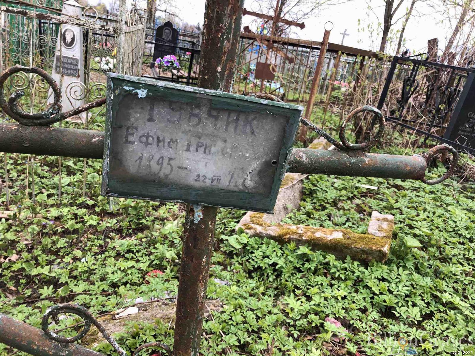 Губчик Ефим Григорьевич