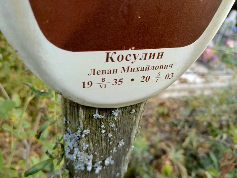 Леван Косулин Михайлович