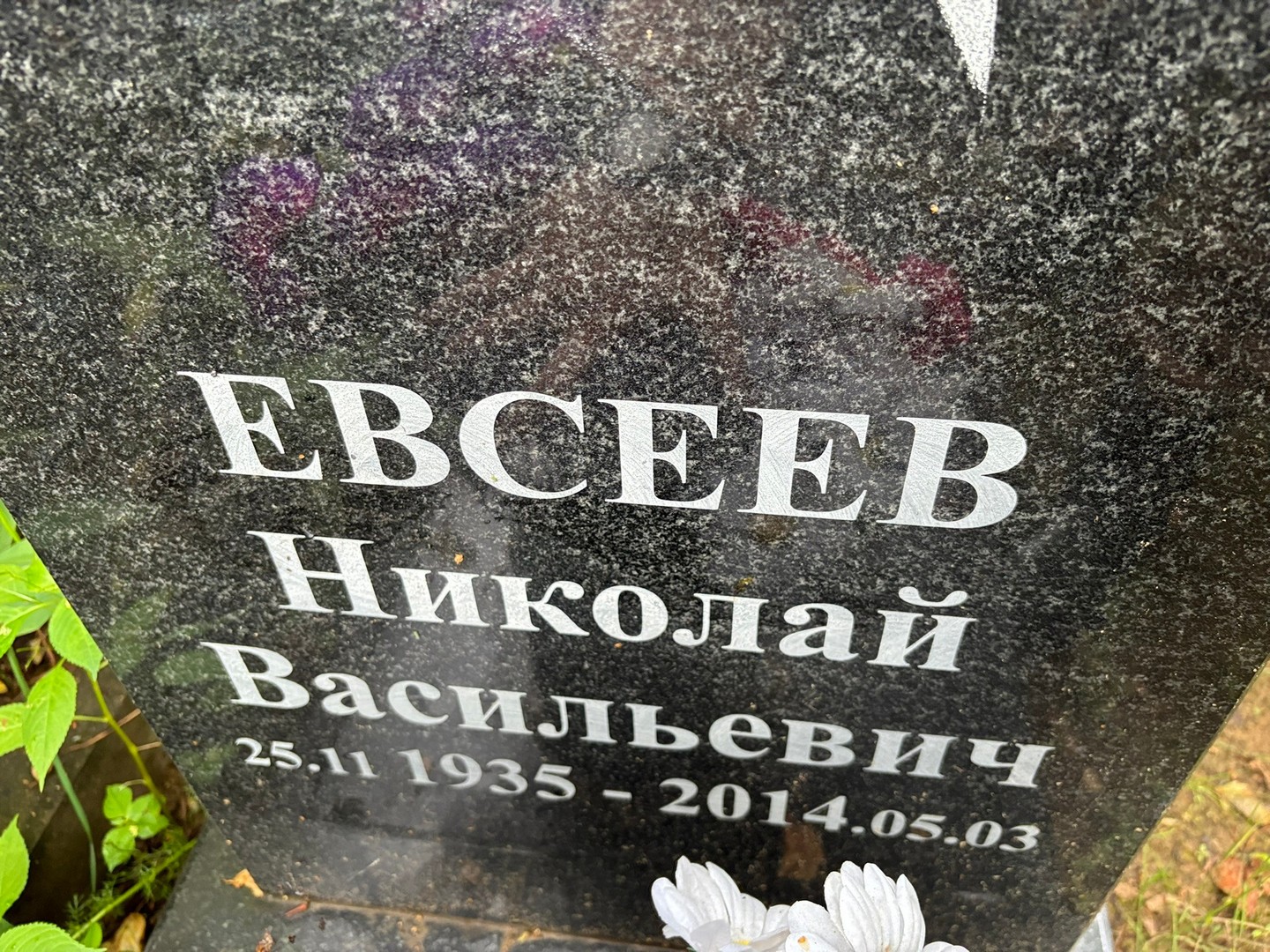 Евсеев
