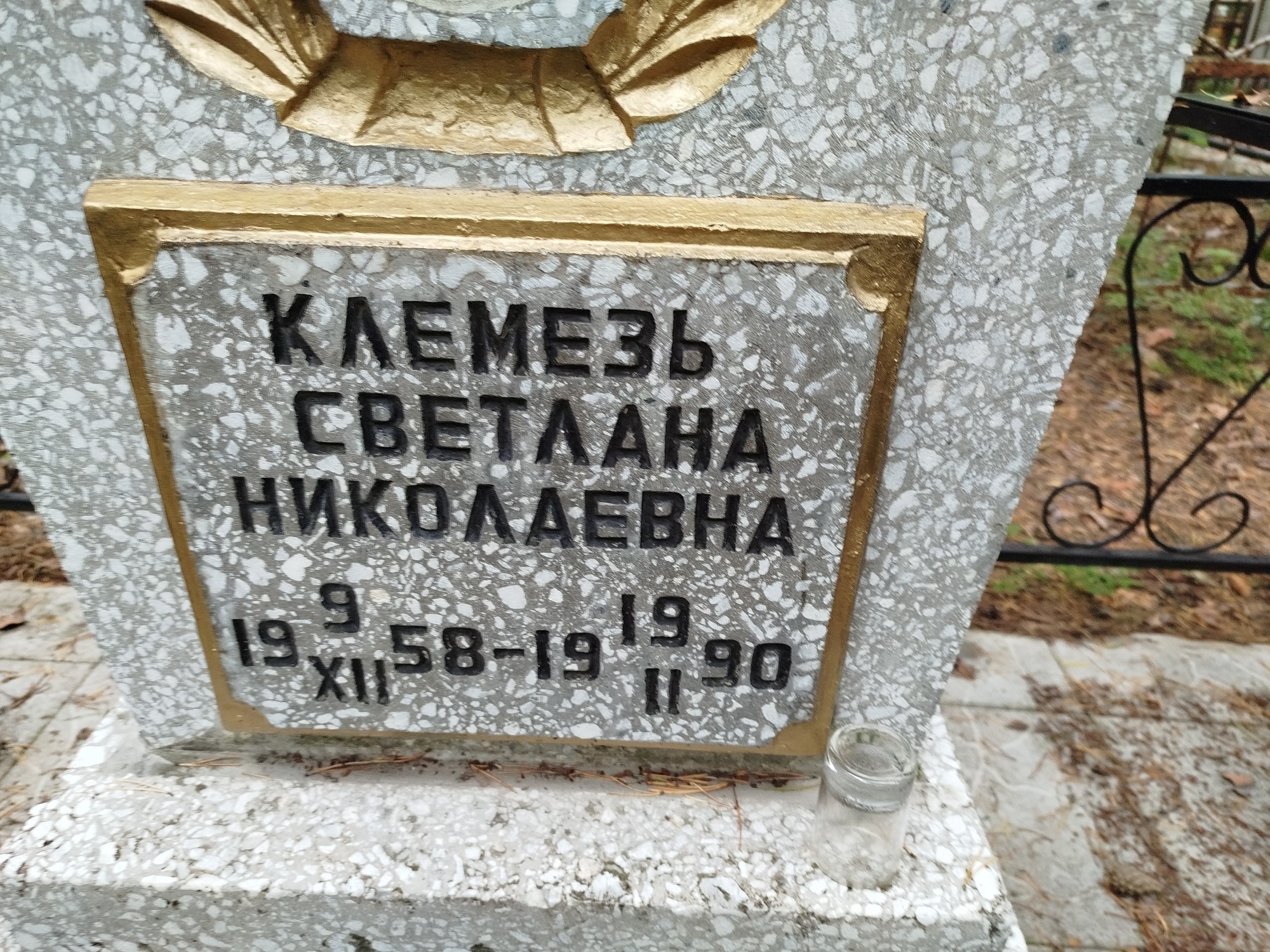 Клемезь Светлана Николаевна