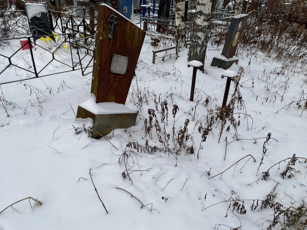 Черных Алексей Сергеевич