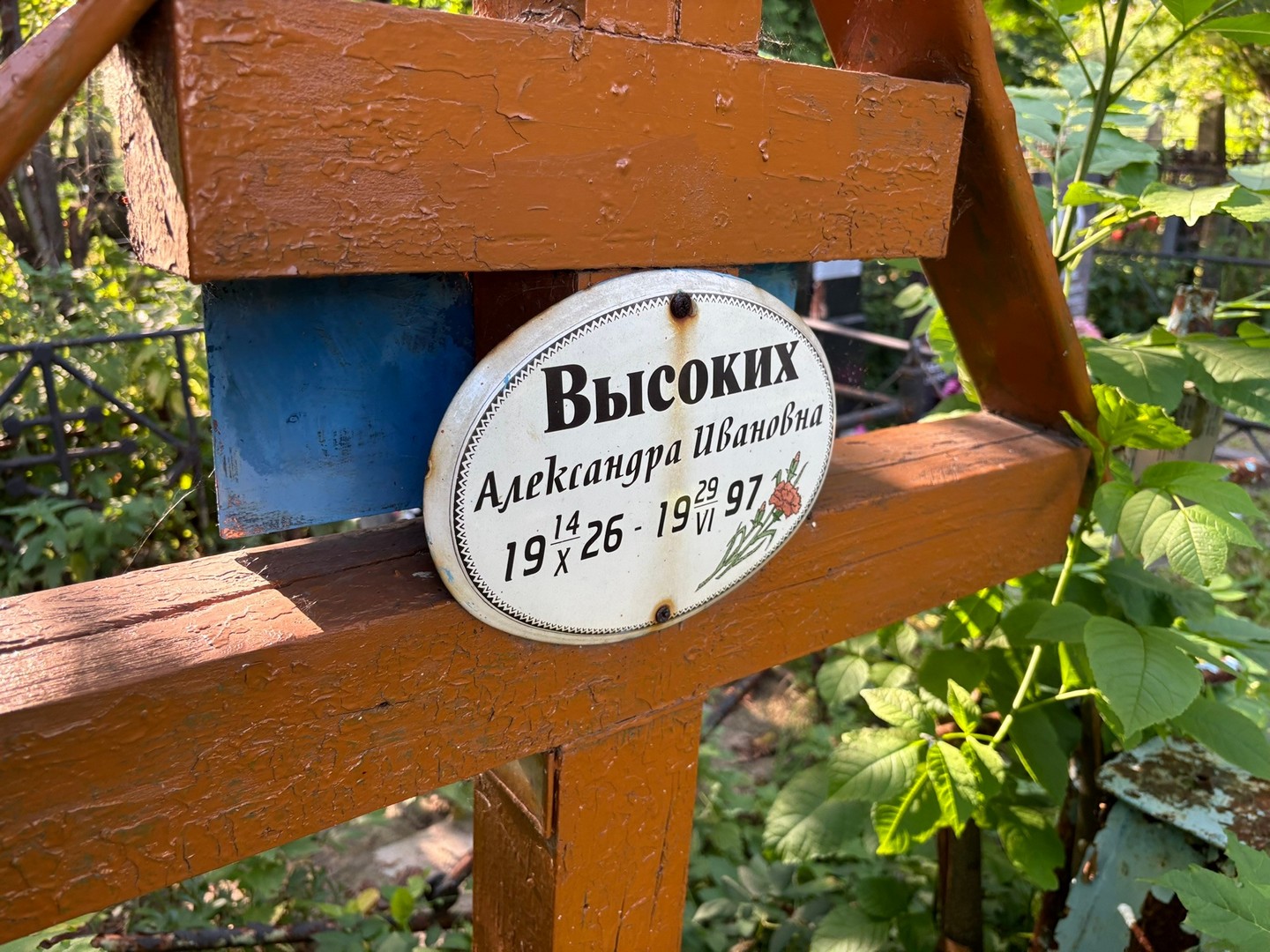 Высоких Александра Ивановна