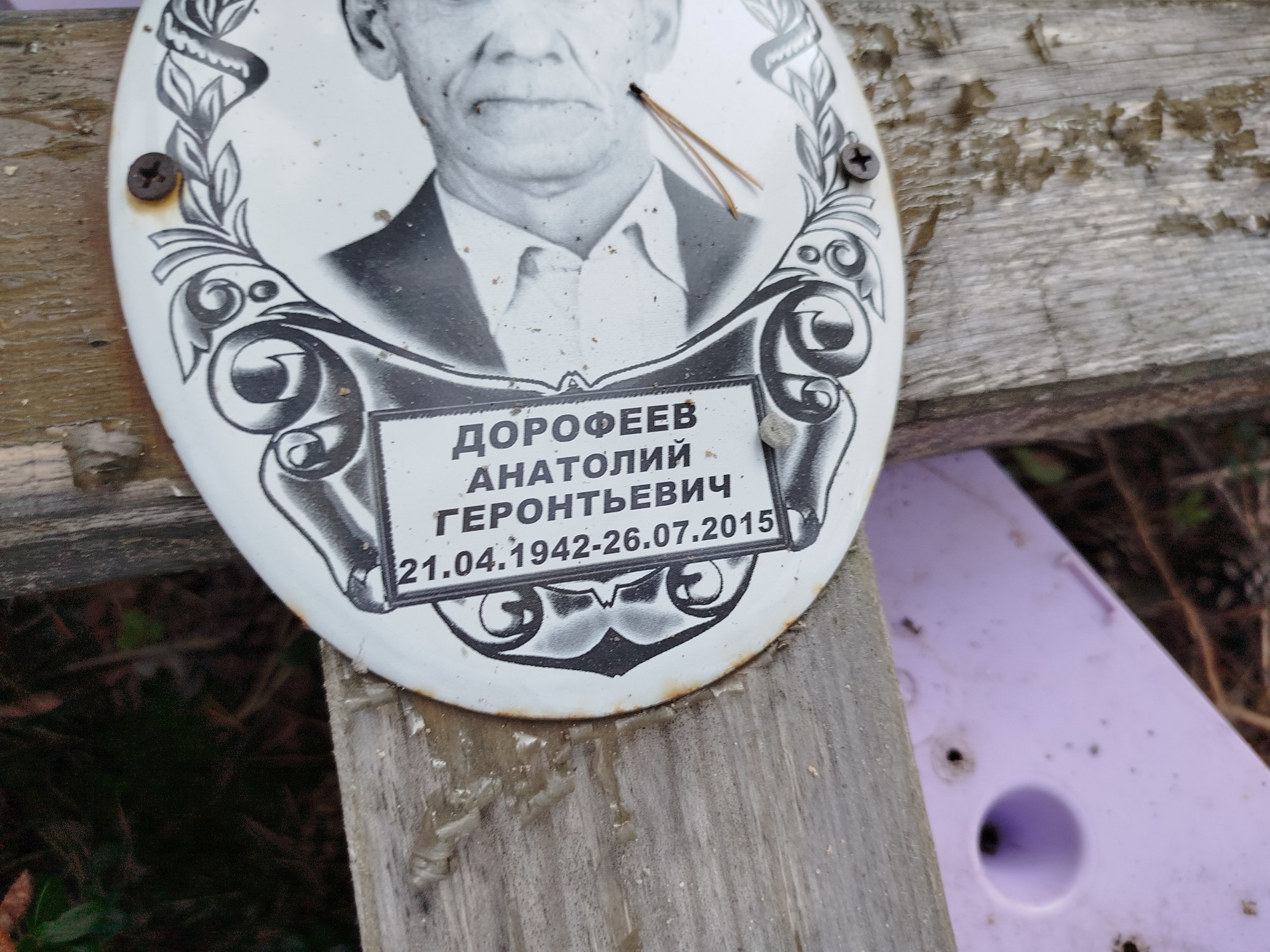 Дорофеев Анатолий Георгиевич