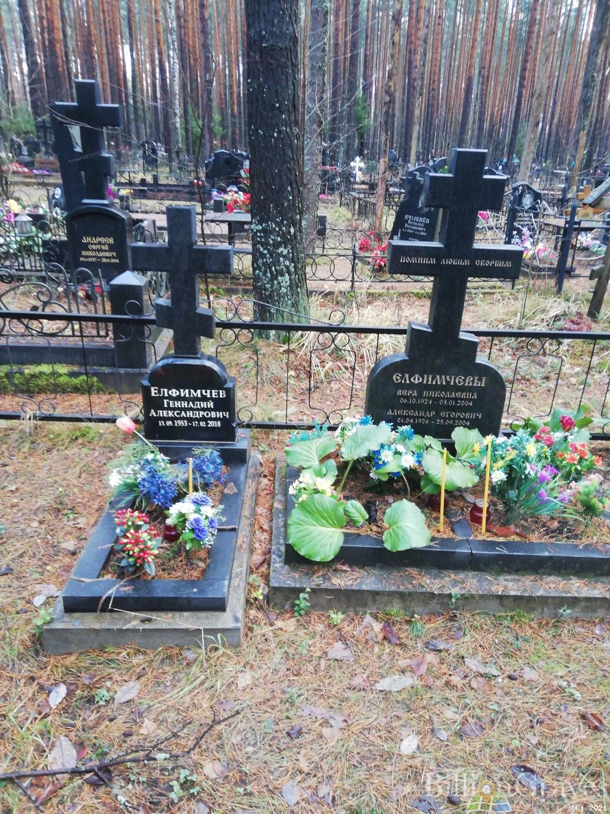 Елфимчев Александр Егорович
