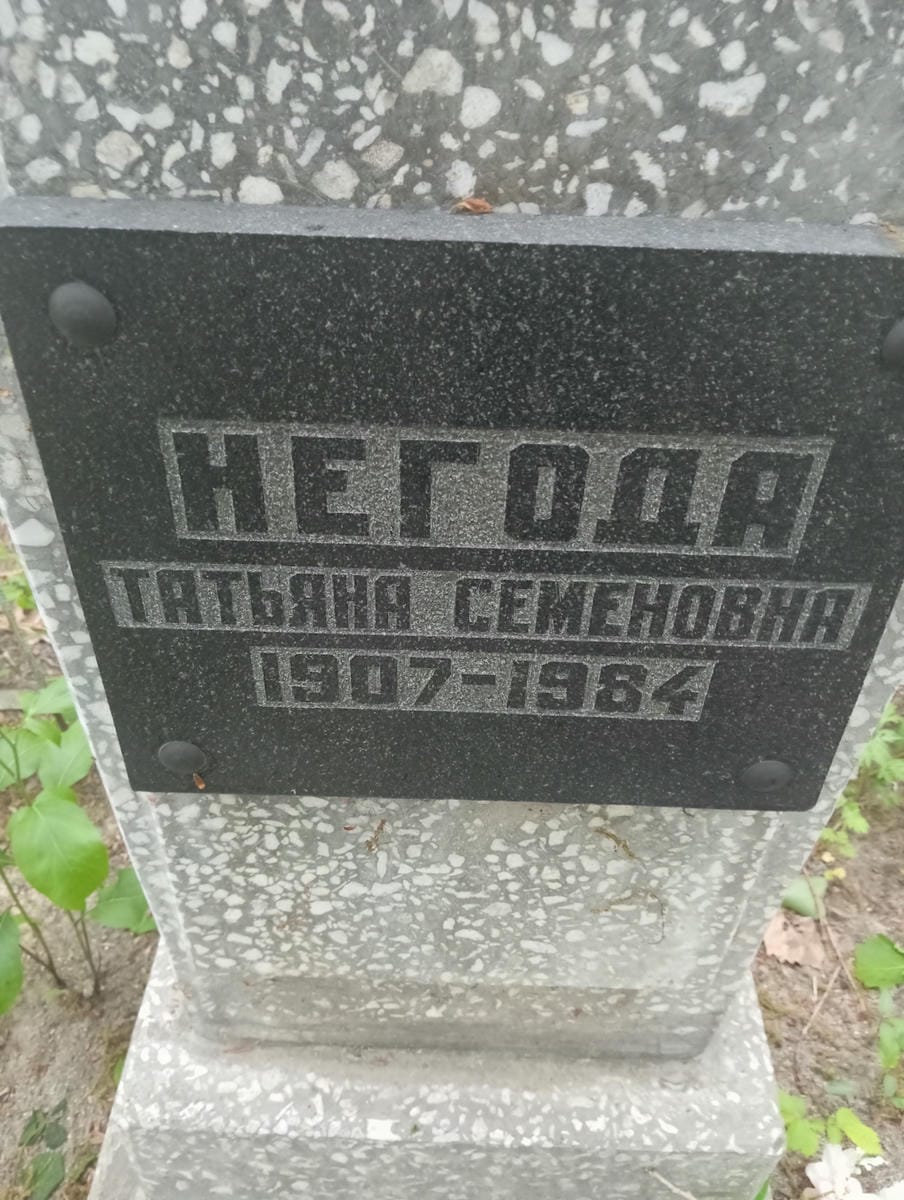 Негода Татьяна Семеновна