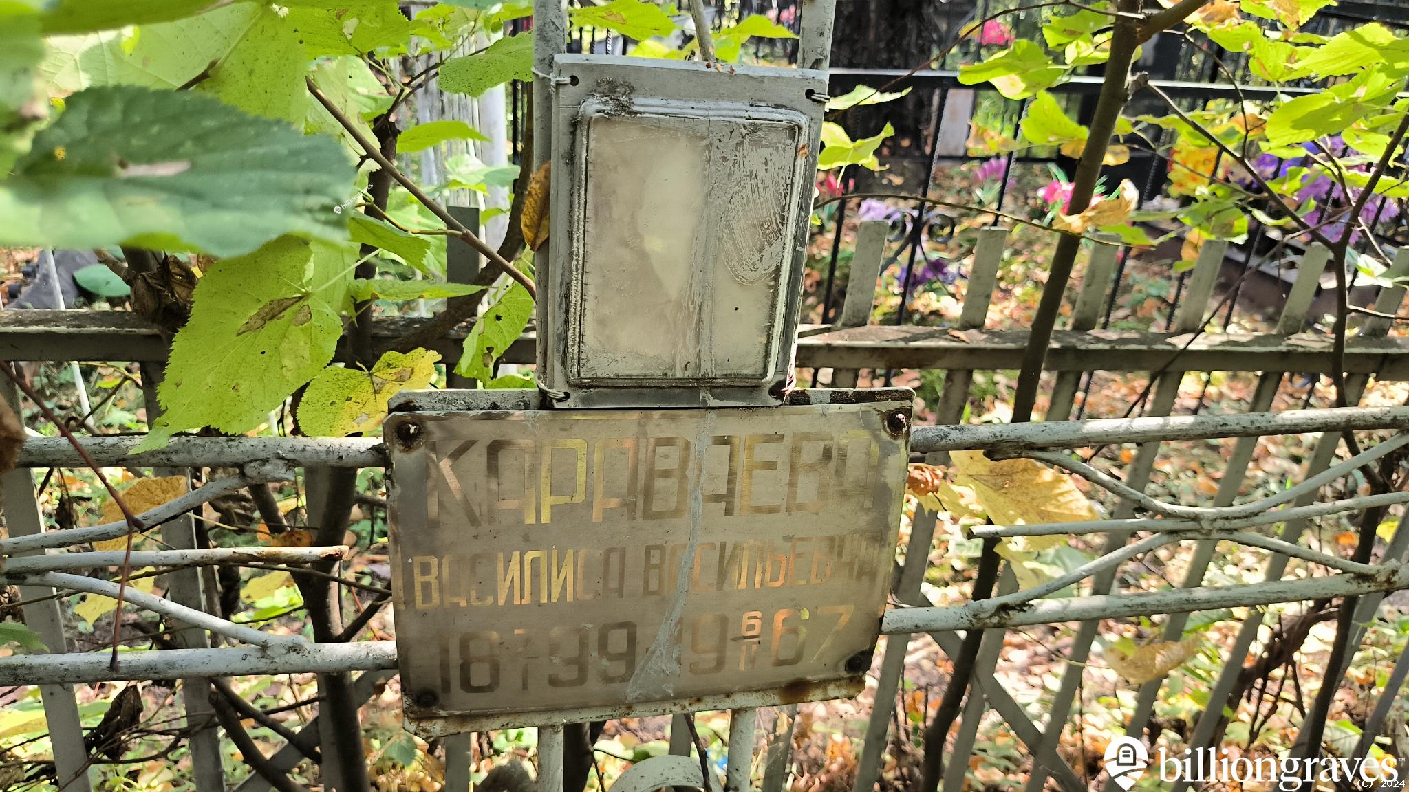 Караваева Василиса Васильевна