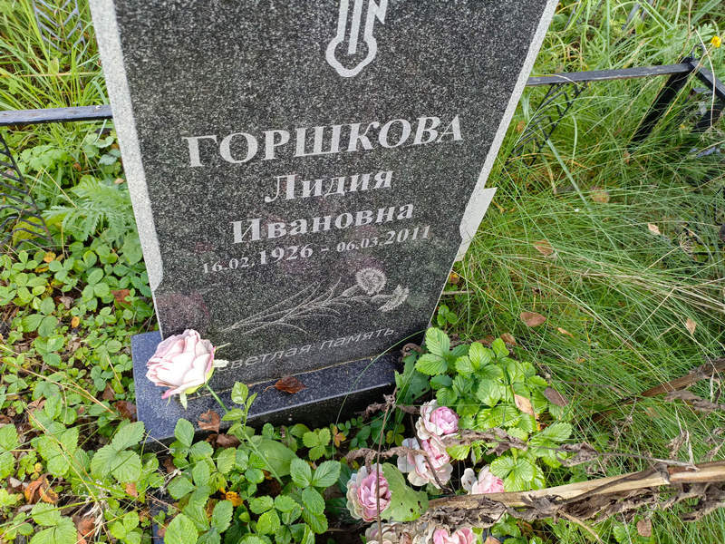 Горшкова