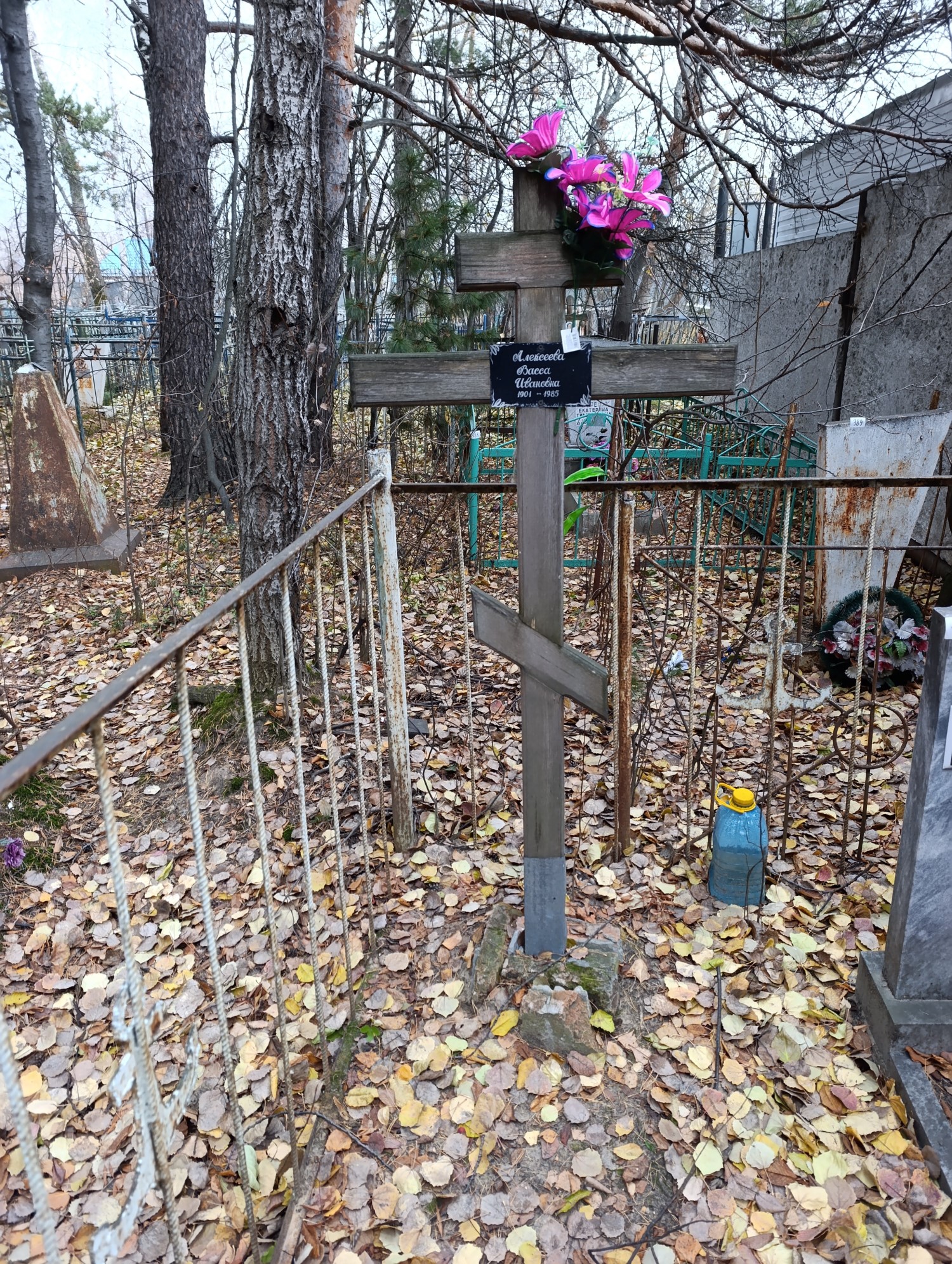 Алексеева Васса Ивановна