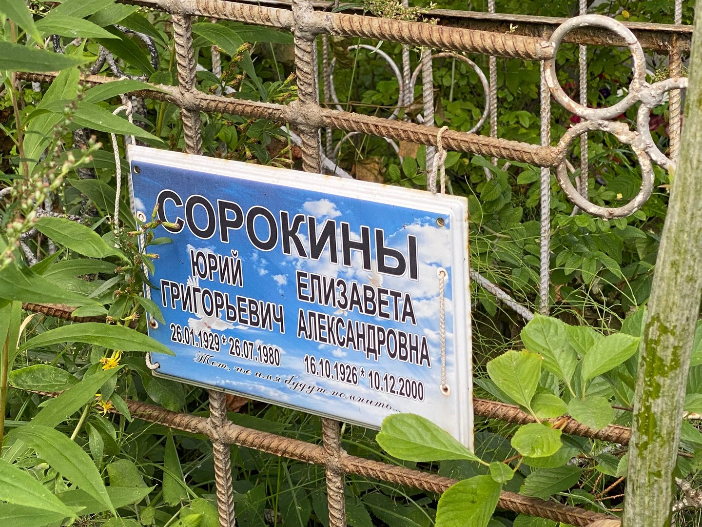 Сорокин