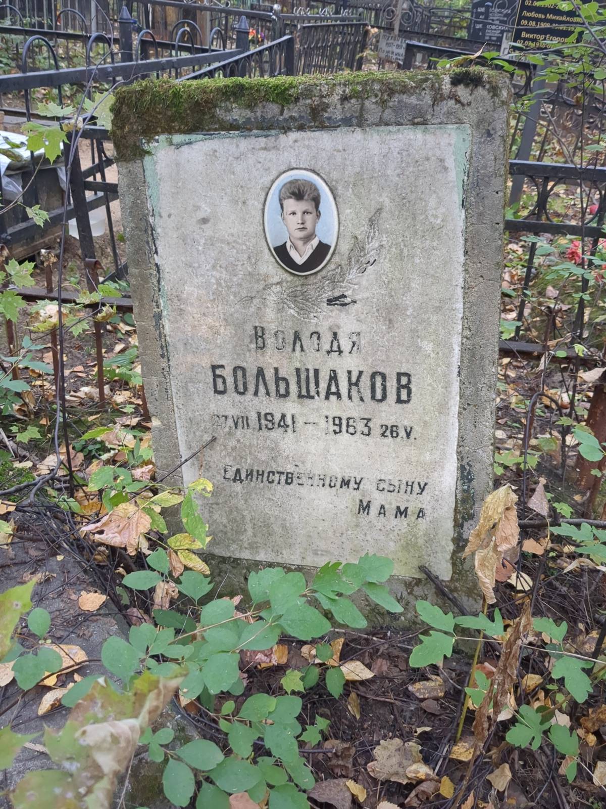 Большаков Володя