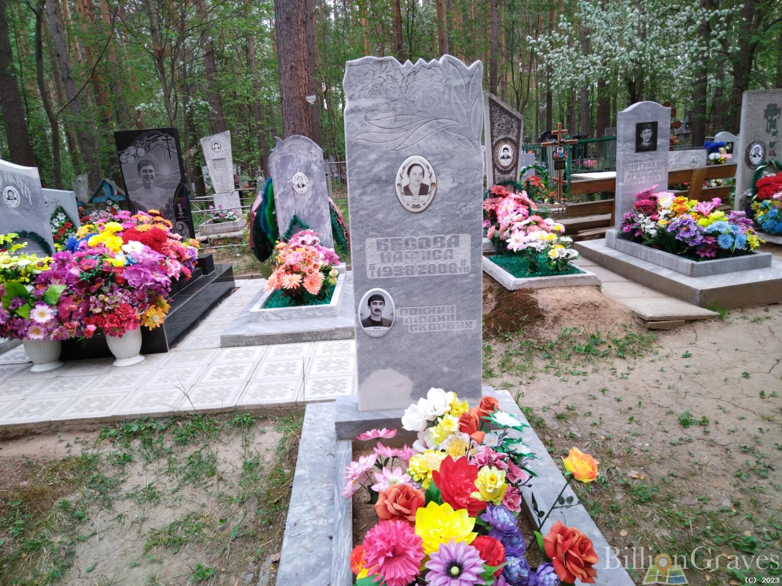 Бесов Александр Вениаминович