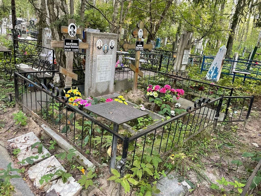 Висячкин Александр Васильевич