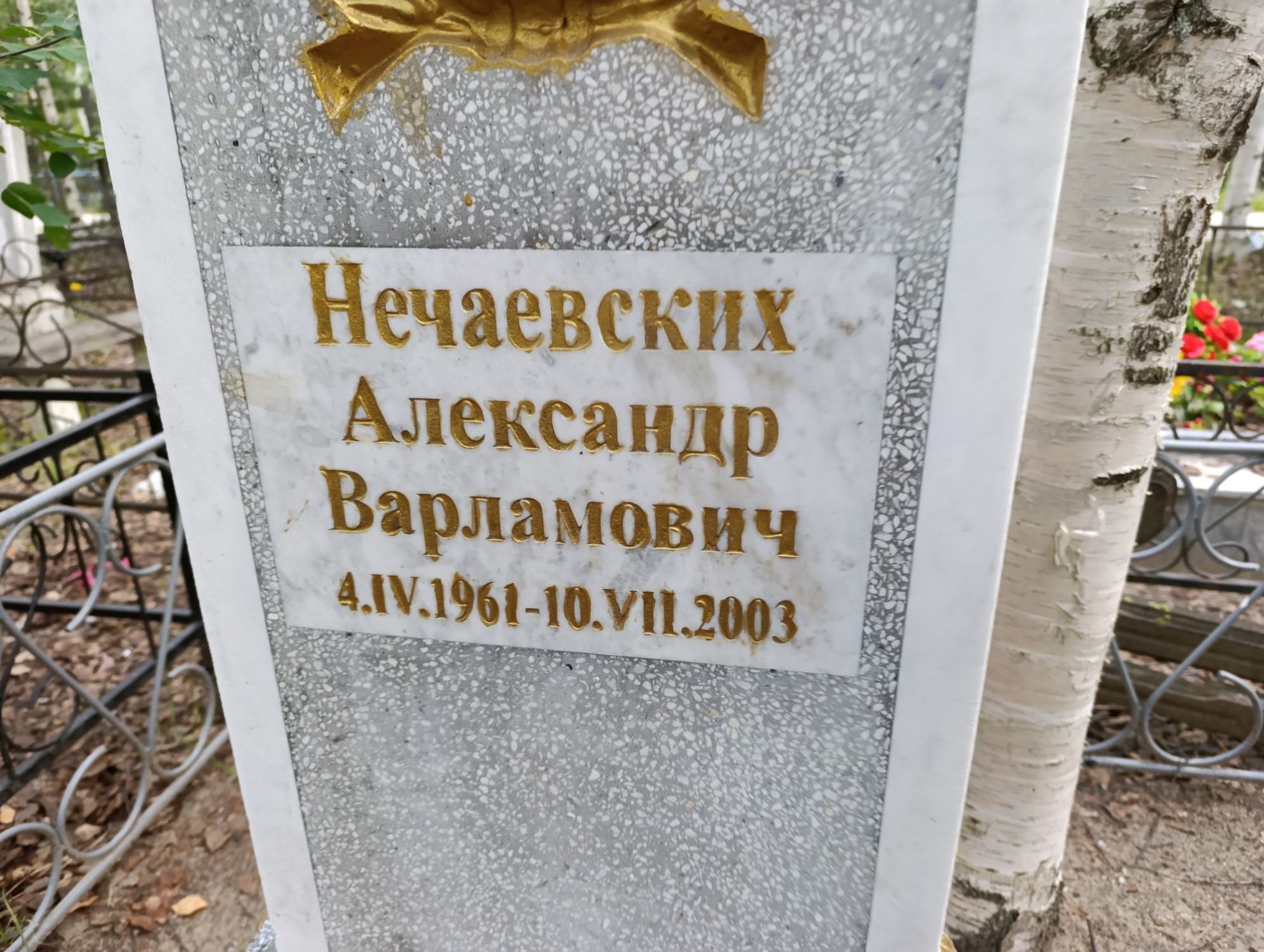 Нечаевских Александр Варламович