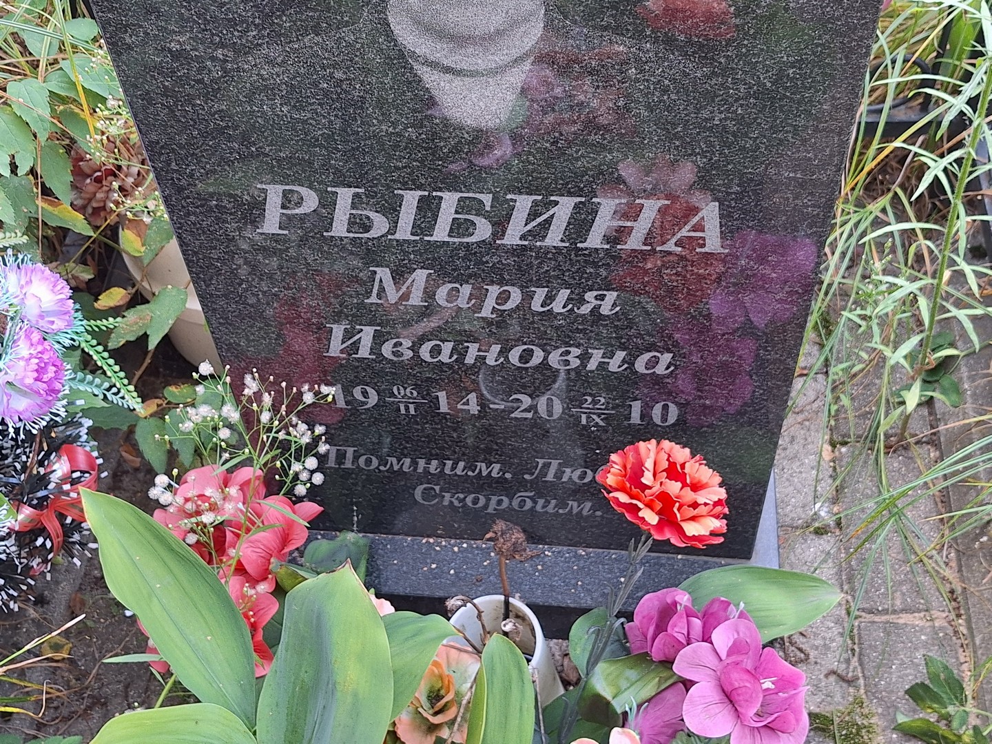 Рыбина