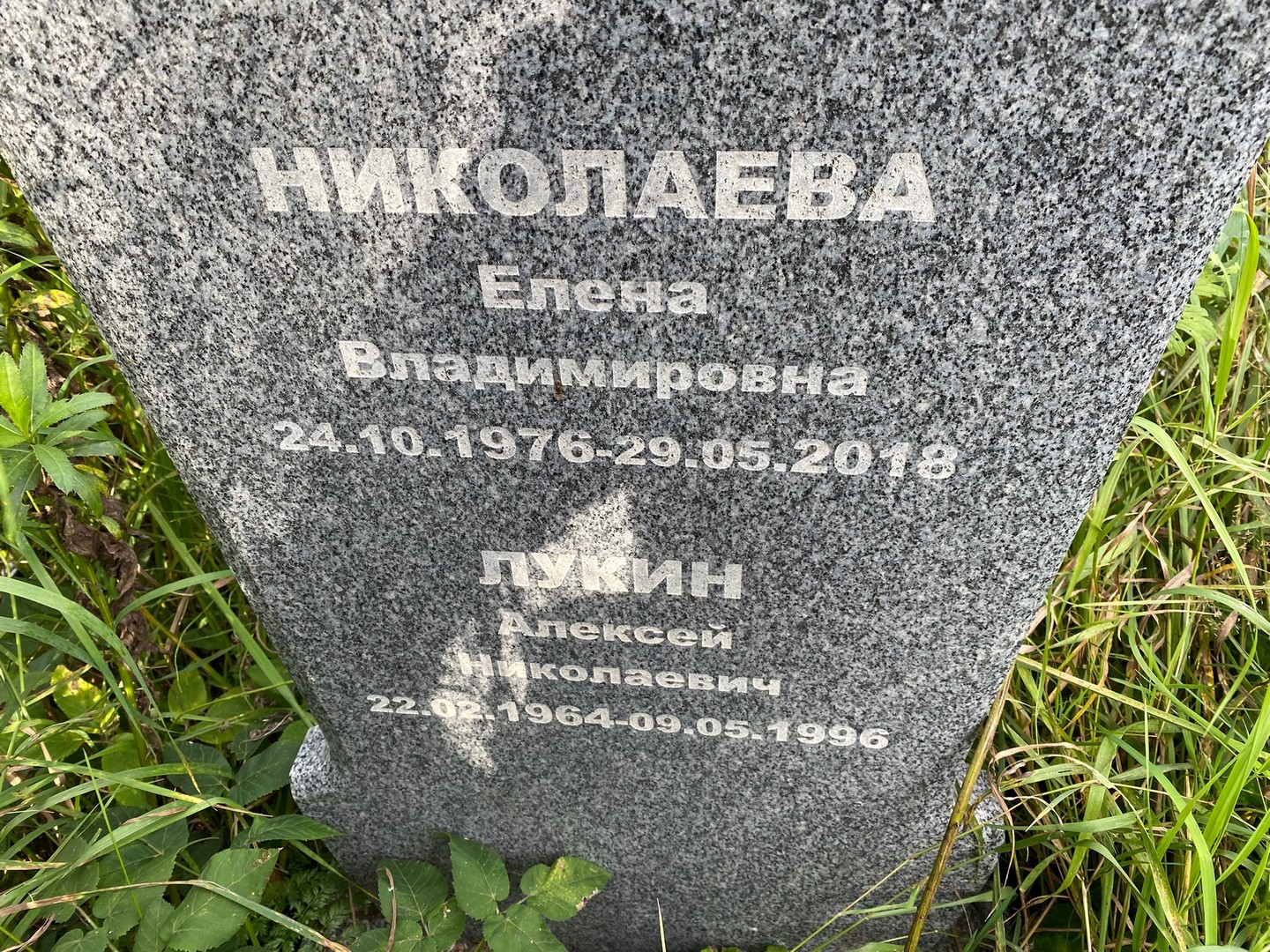 Николаева