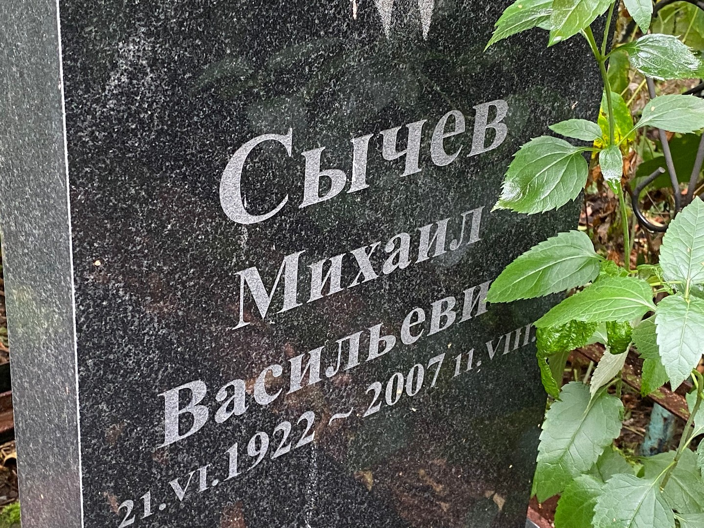 Сычев
