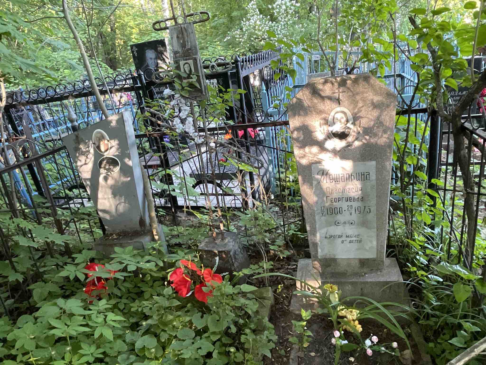 Мешалкина Анастасия Георгиевна