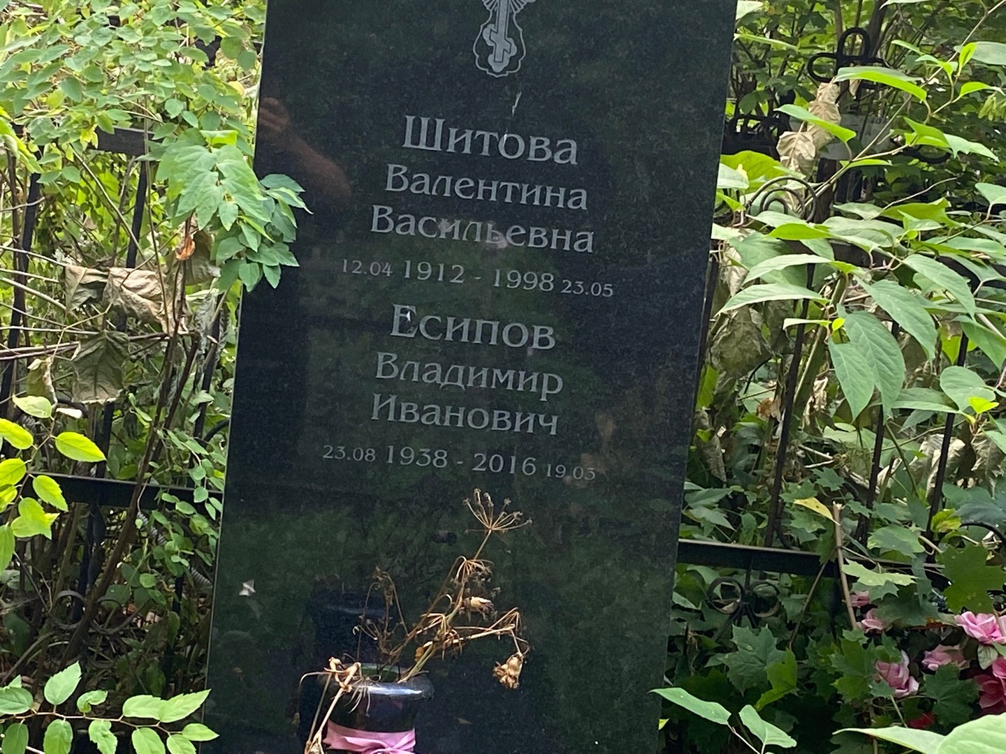 Шитова