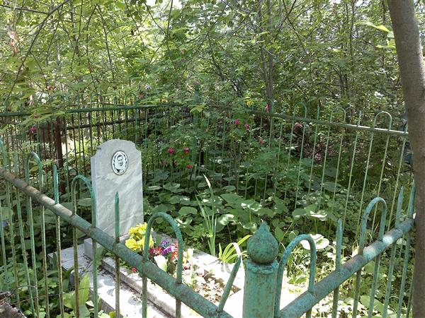 Горелкина Наталья Николаевна