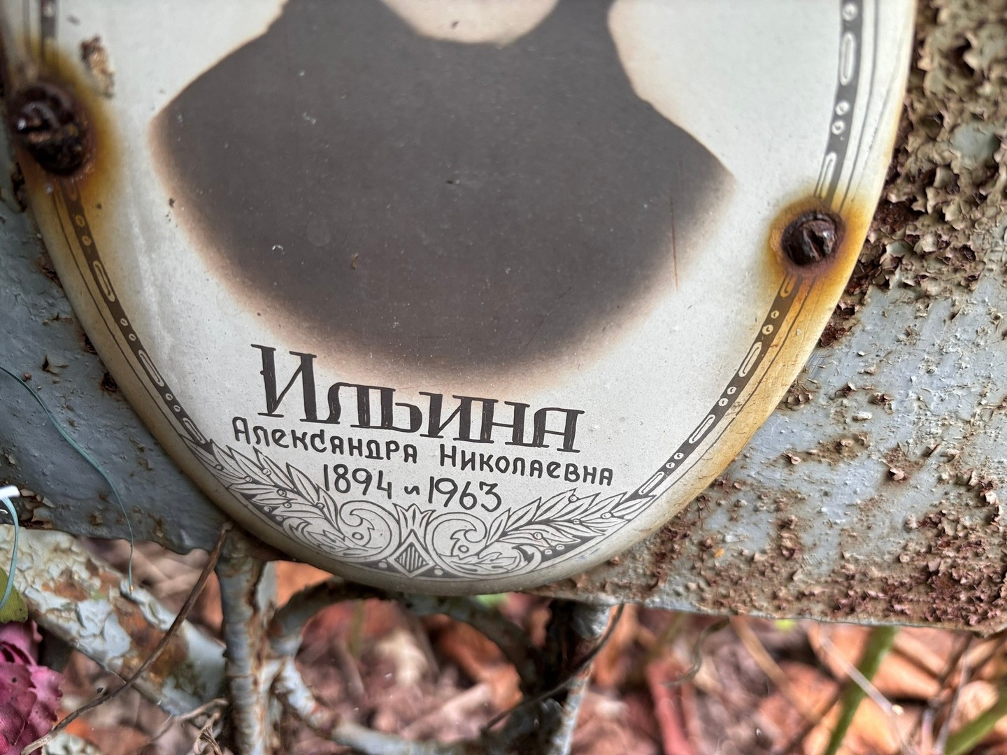 Ильина Александра Николаевна
