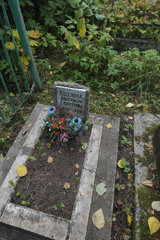 Козлова Анастасия Сергеевна