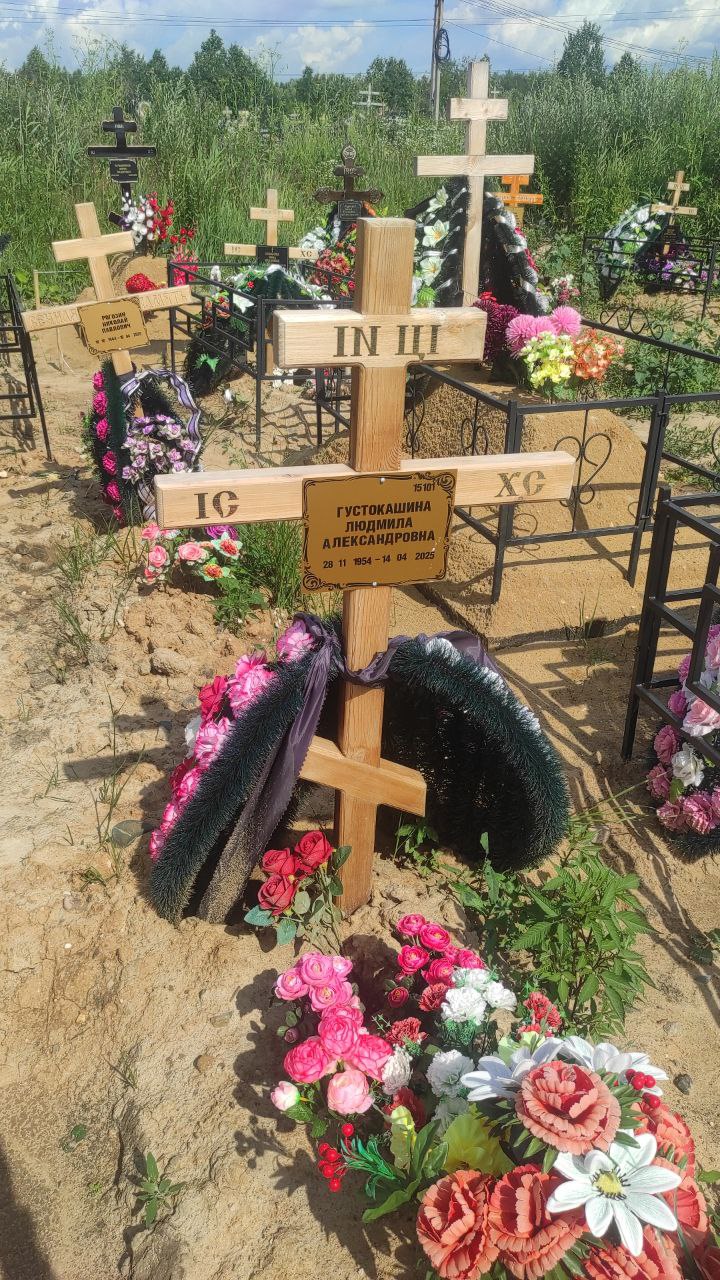 Густокашина
