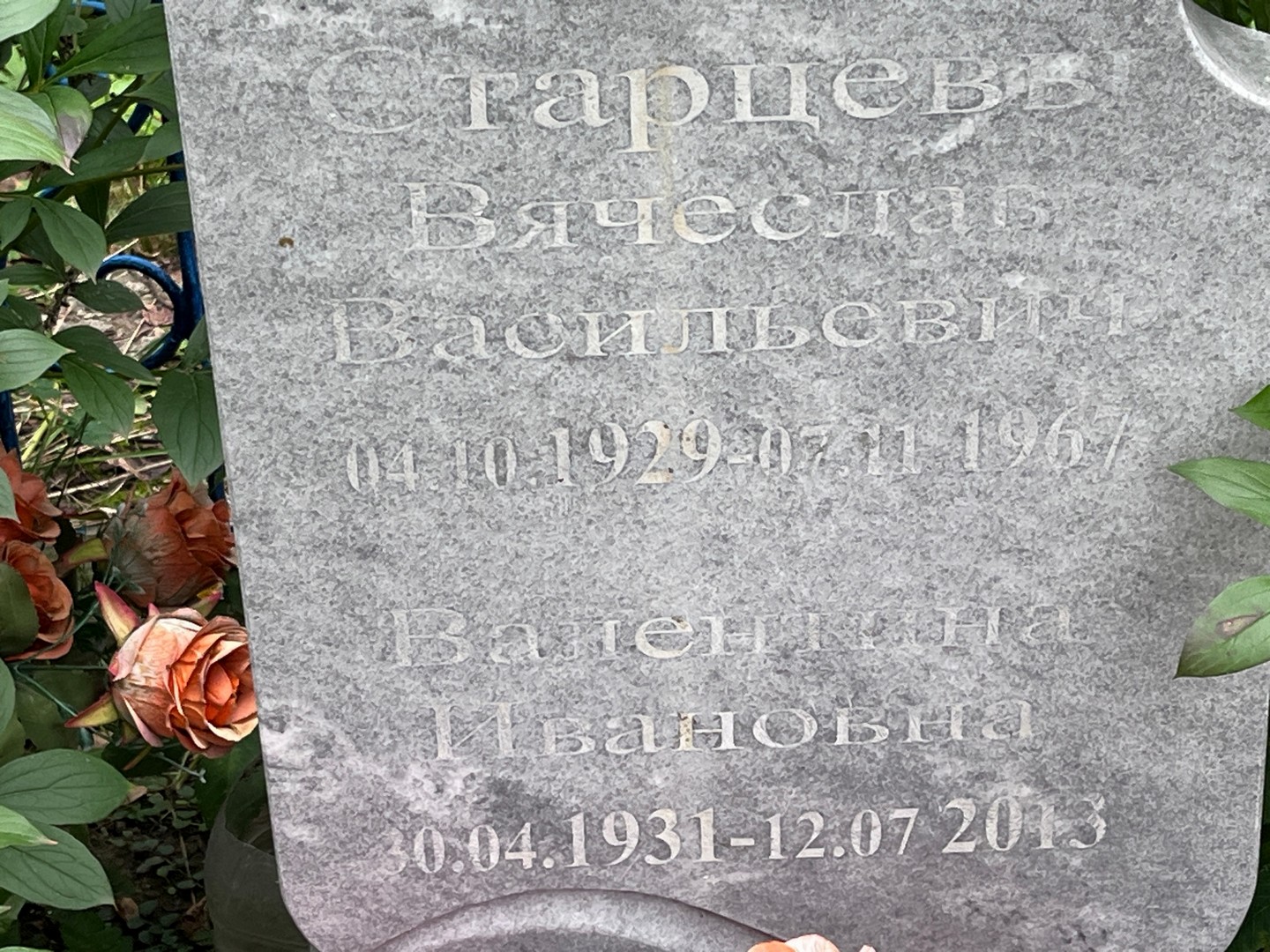 Старцев
