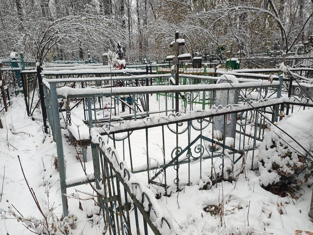 Городенков Виктор Александрович