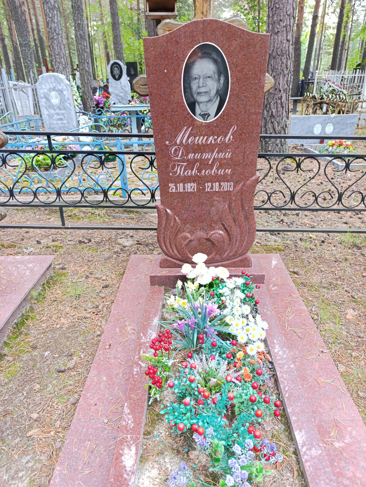 Мешков Дмитрий Павлович