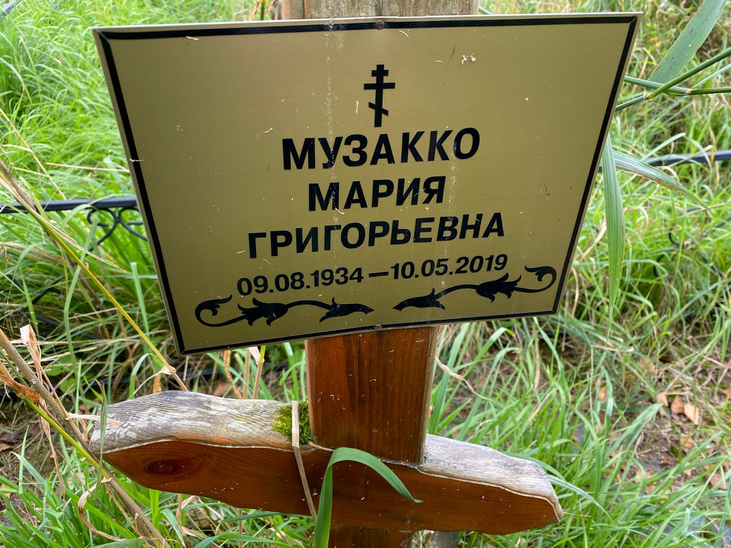 Музакко