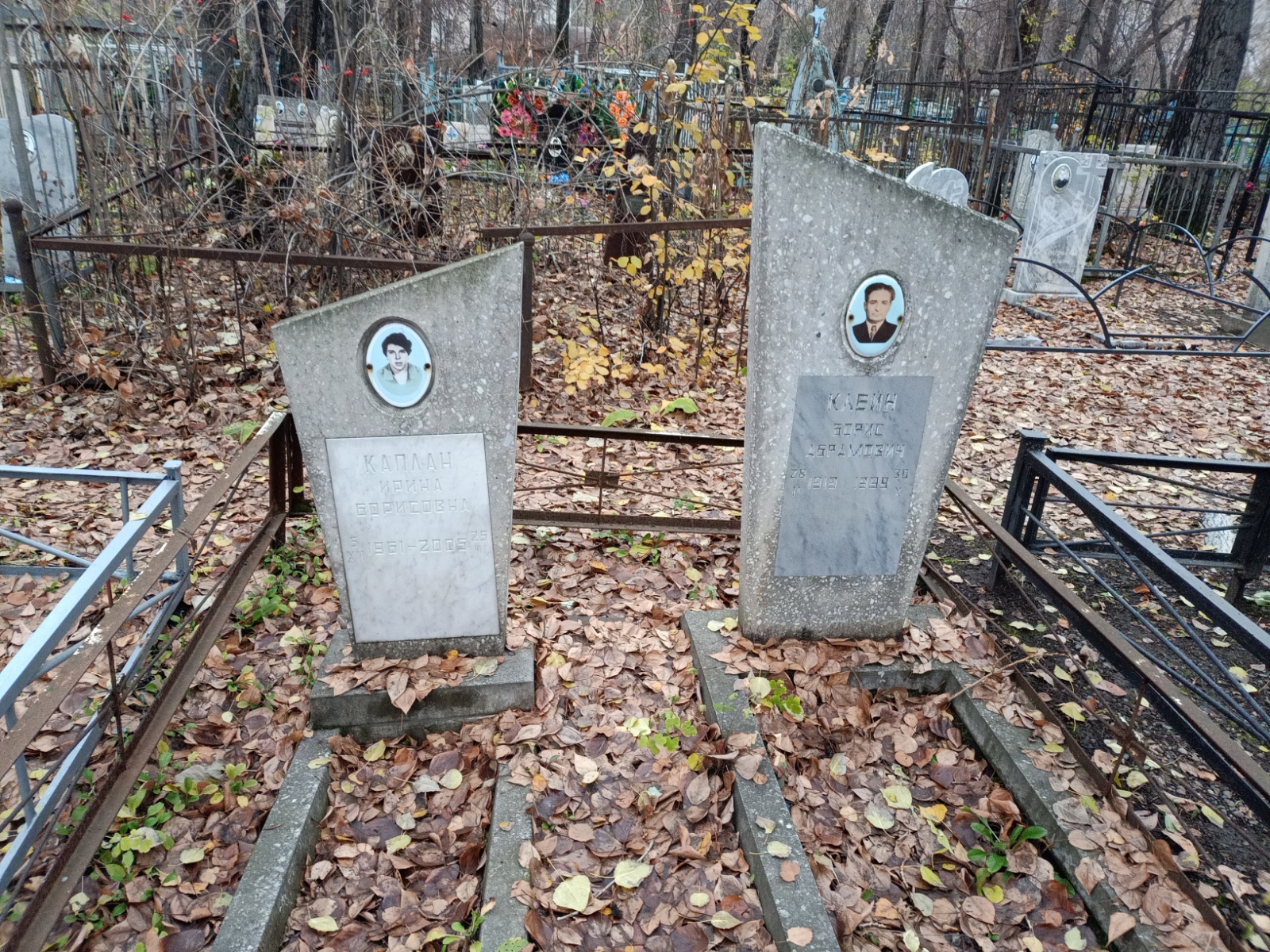 Клейн Борис Абрамович
