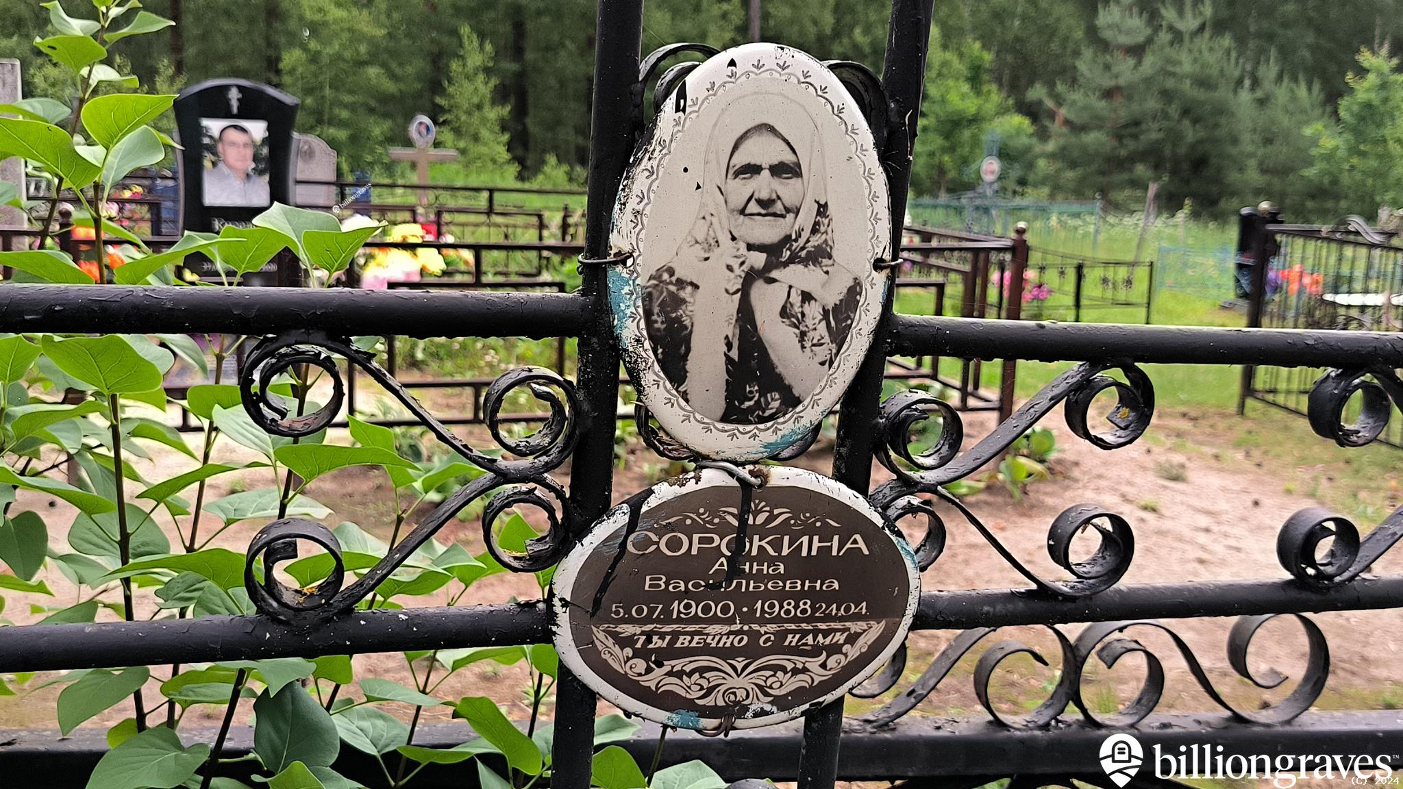 Сорокина Анна Васильевна