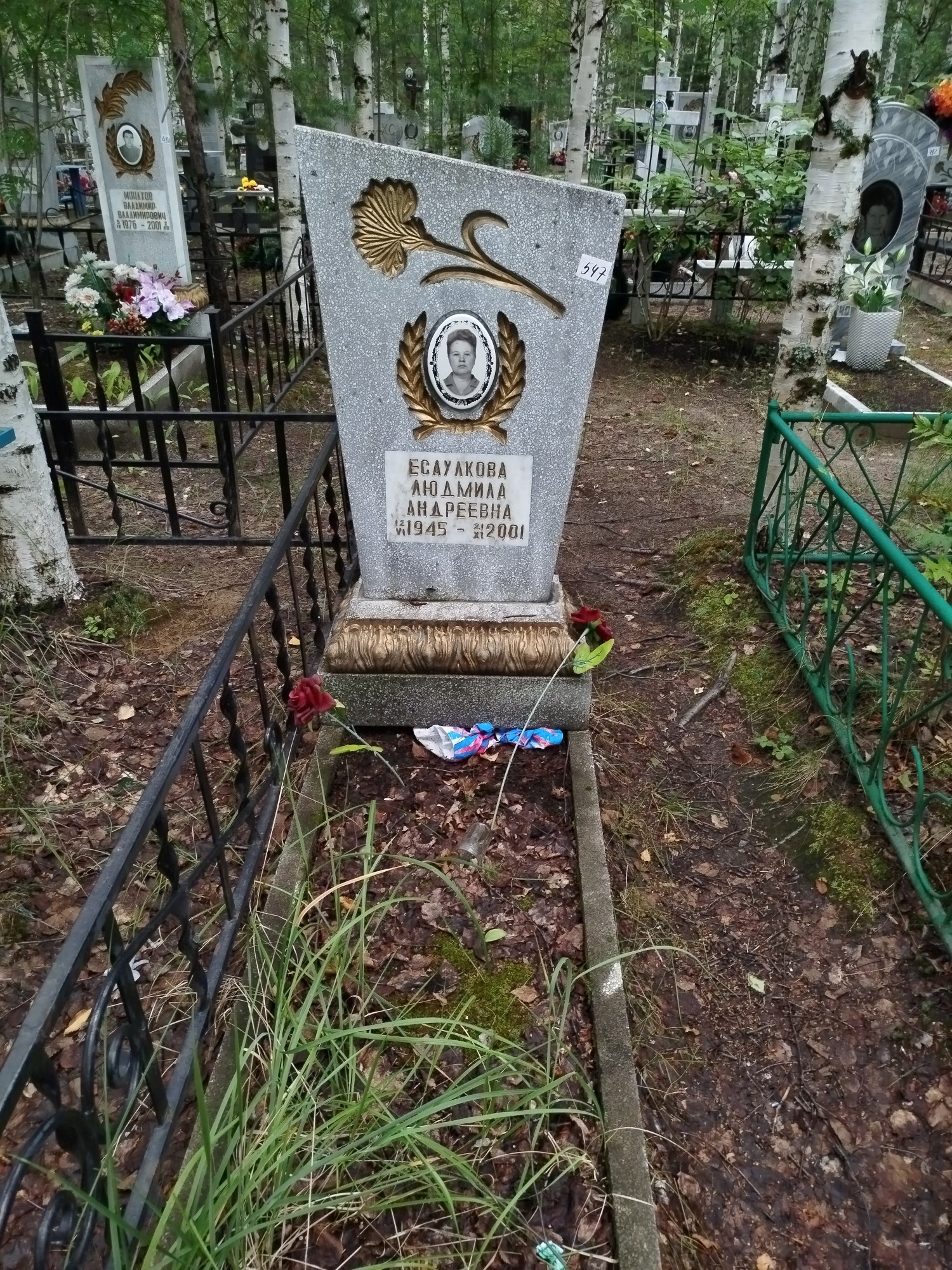 Есаулкова Людмила Андреевна
