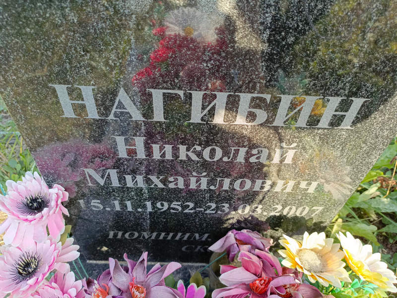 Нагибин
