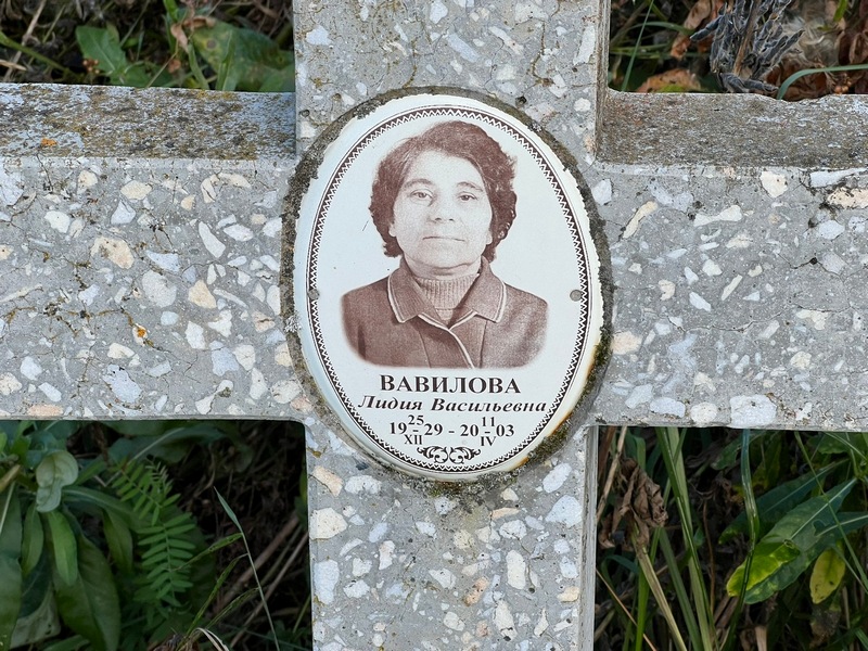 Вавилова