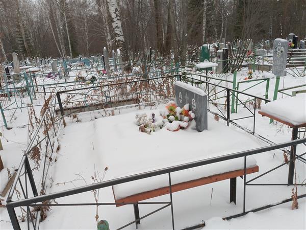 Суркова Анна Андреевна