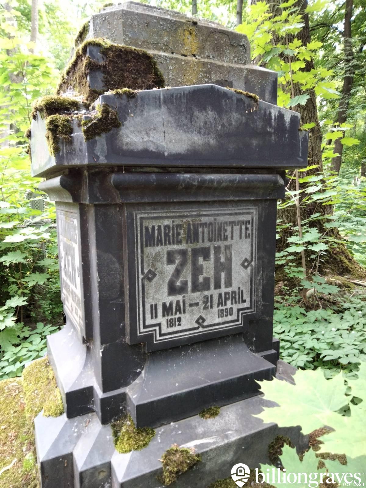 Zeh Marie Antoinette