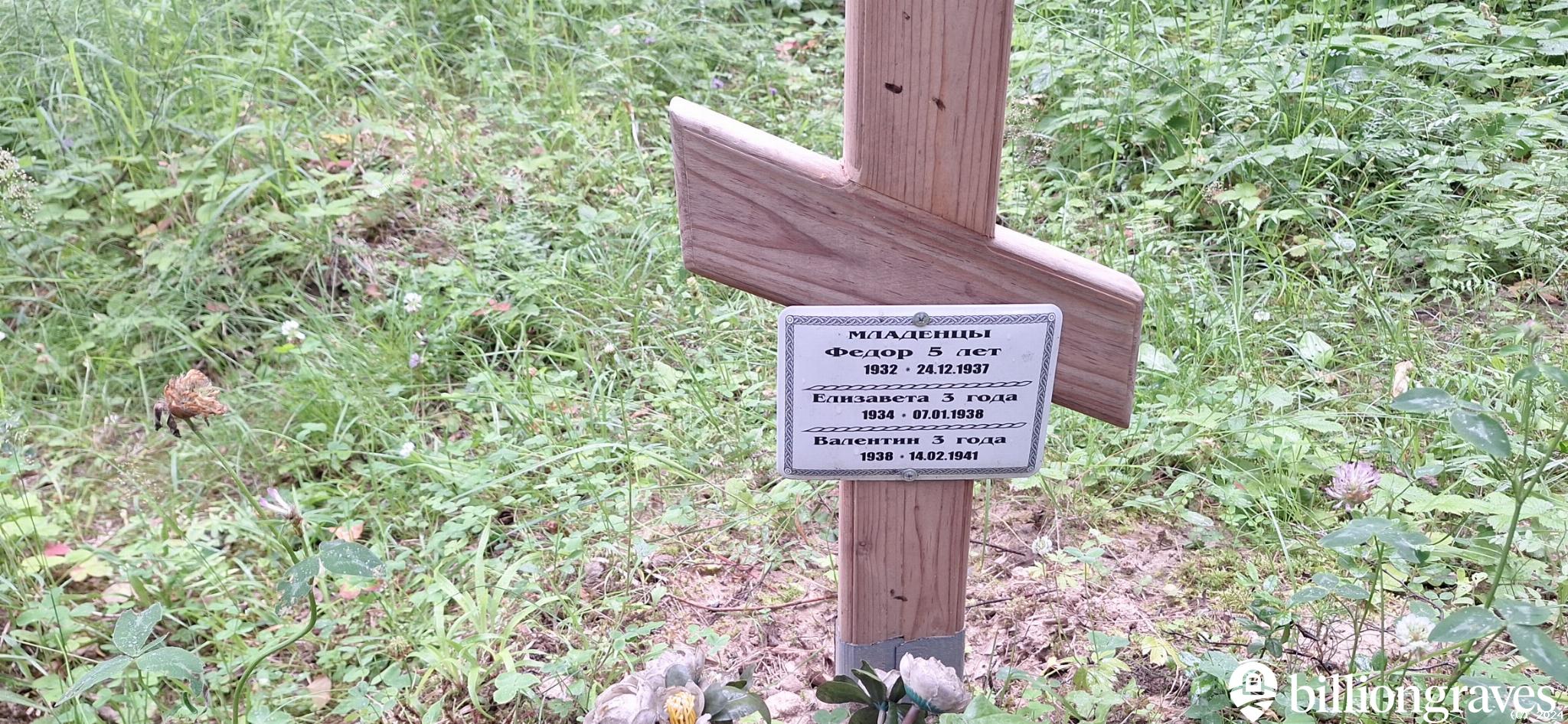 Вздыхина Анна Александровна