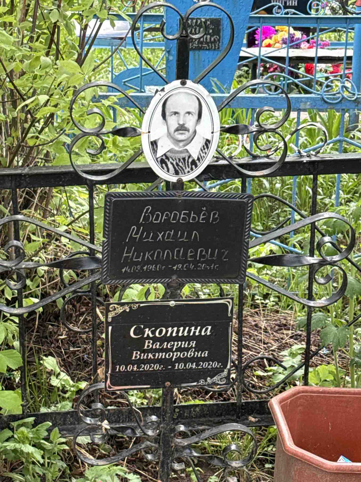 Скопина Валерия Викторовна