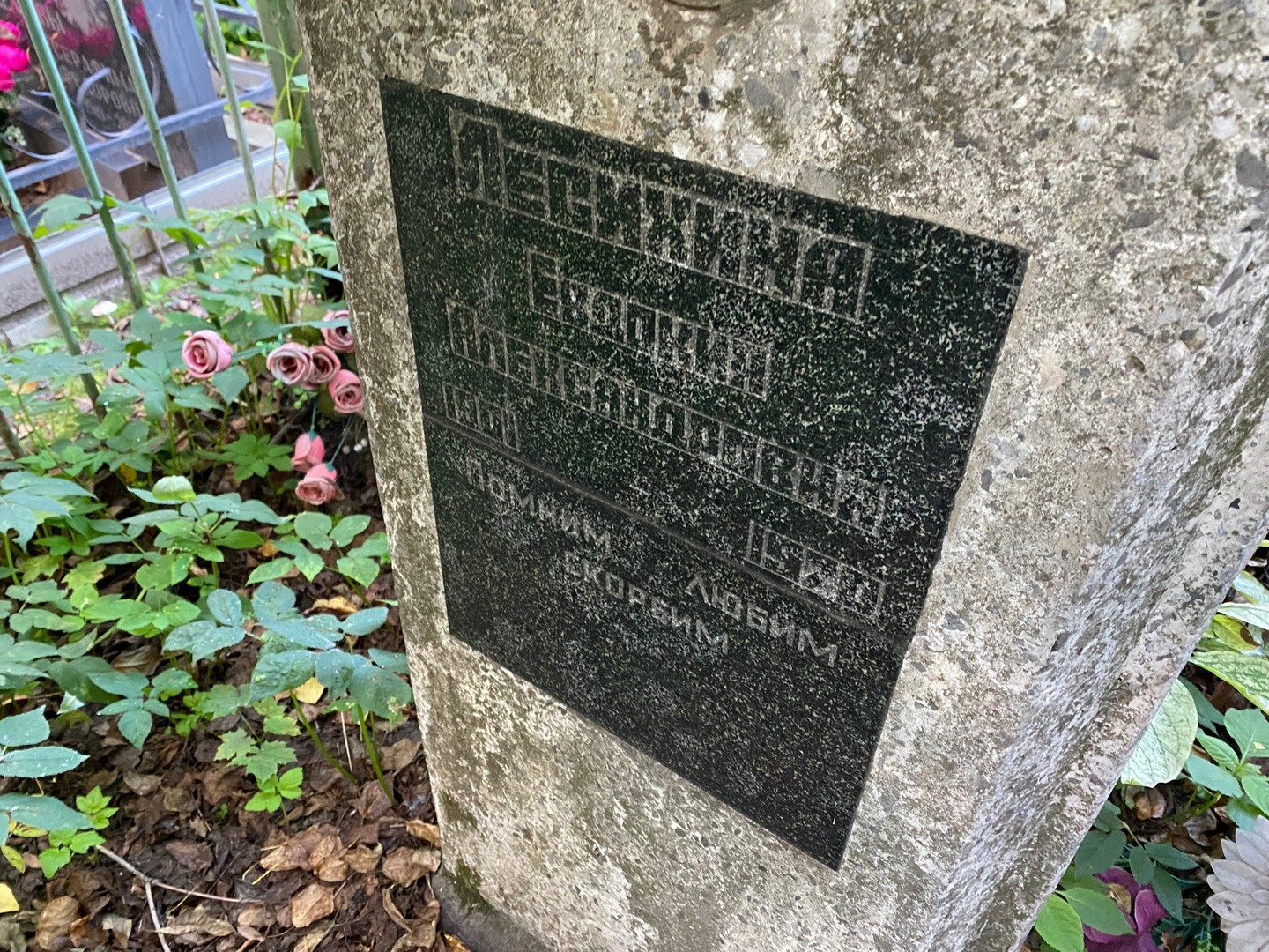 Лесихина