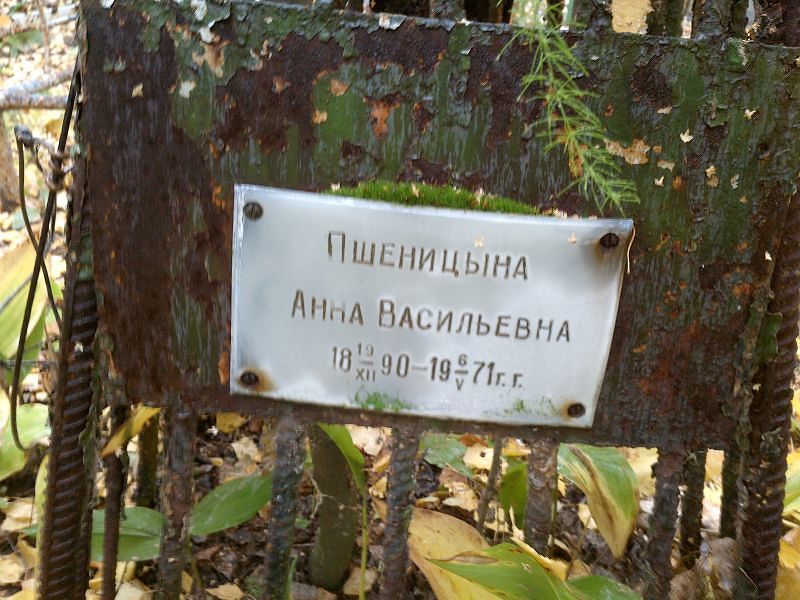 Пшеницына