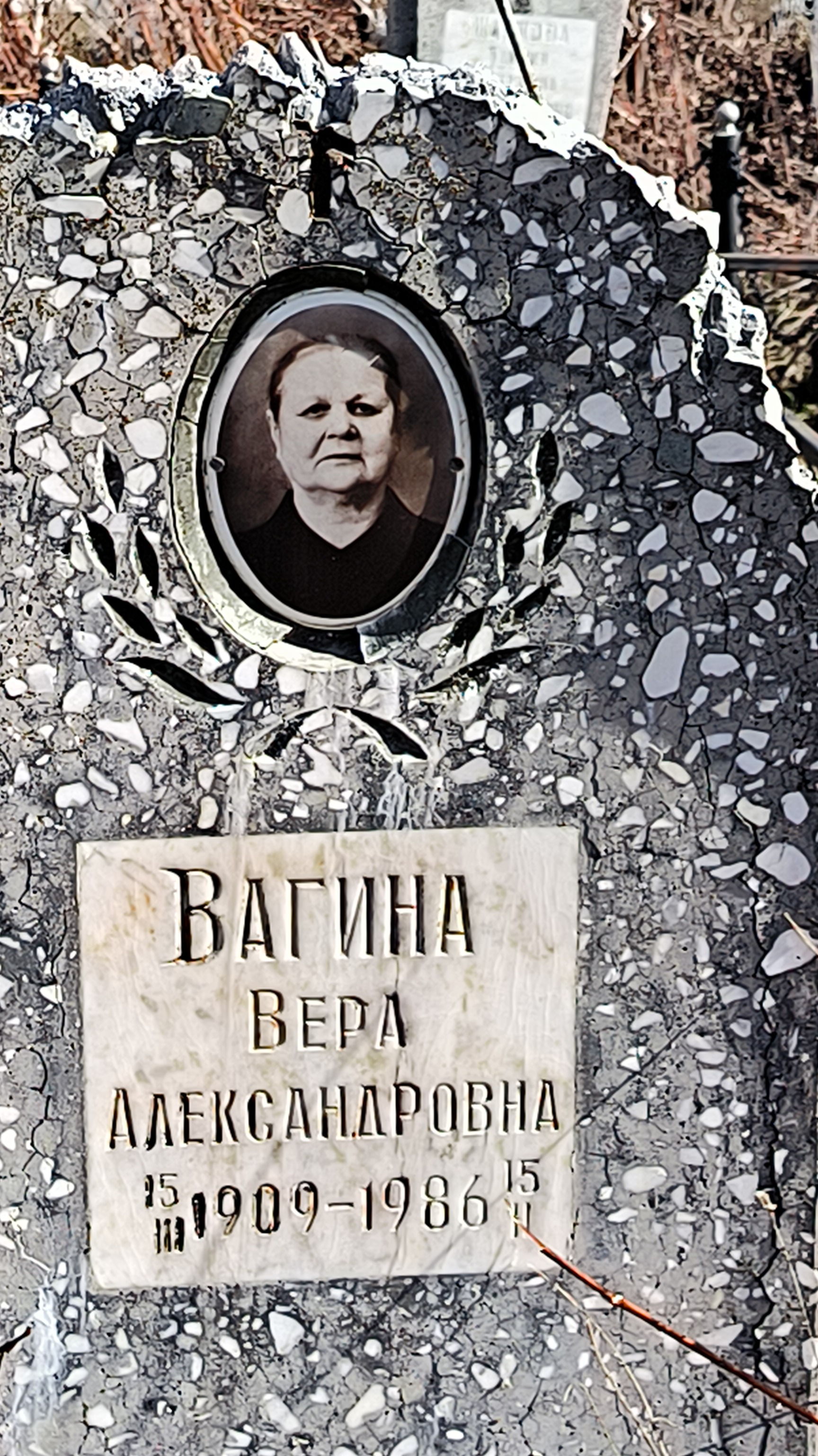 Вагина Вера Александровна