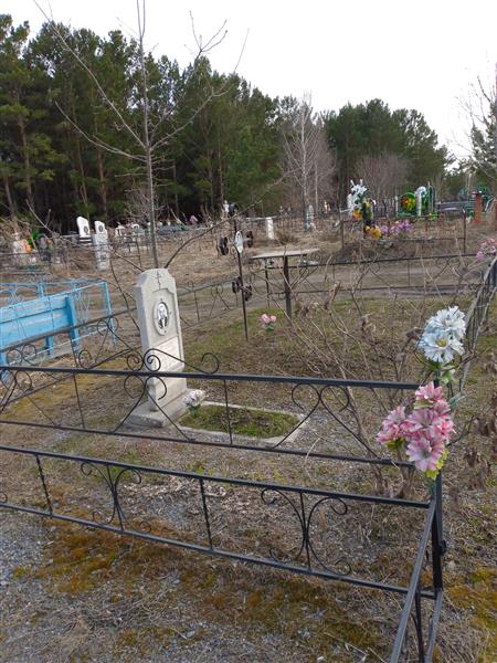 Левин Александр Сергеевич