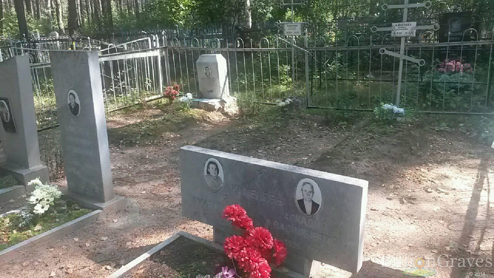 Каменев Владимир Аркадьевич