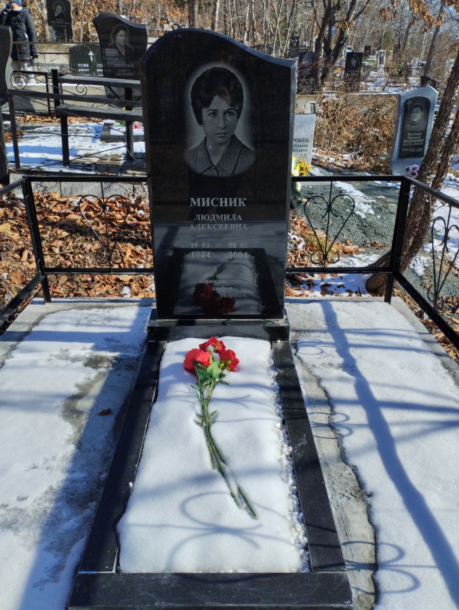 Мисник Людмила Алексеевна