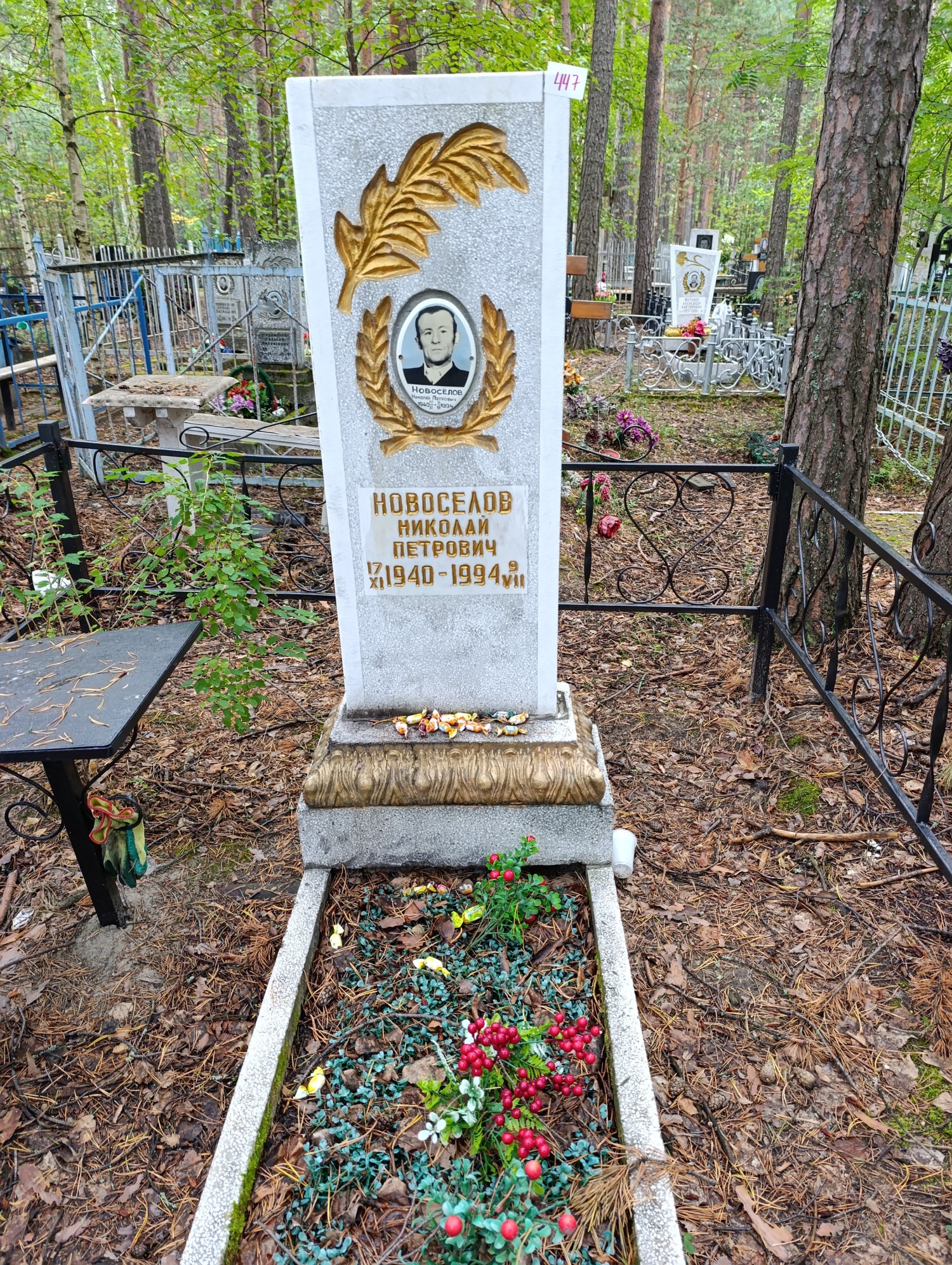 Новоселов Николай Петрович