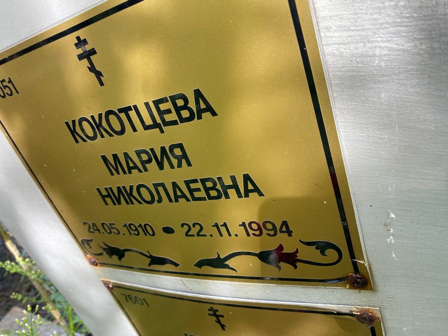 Кокотцева