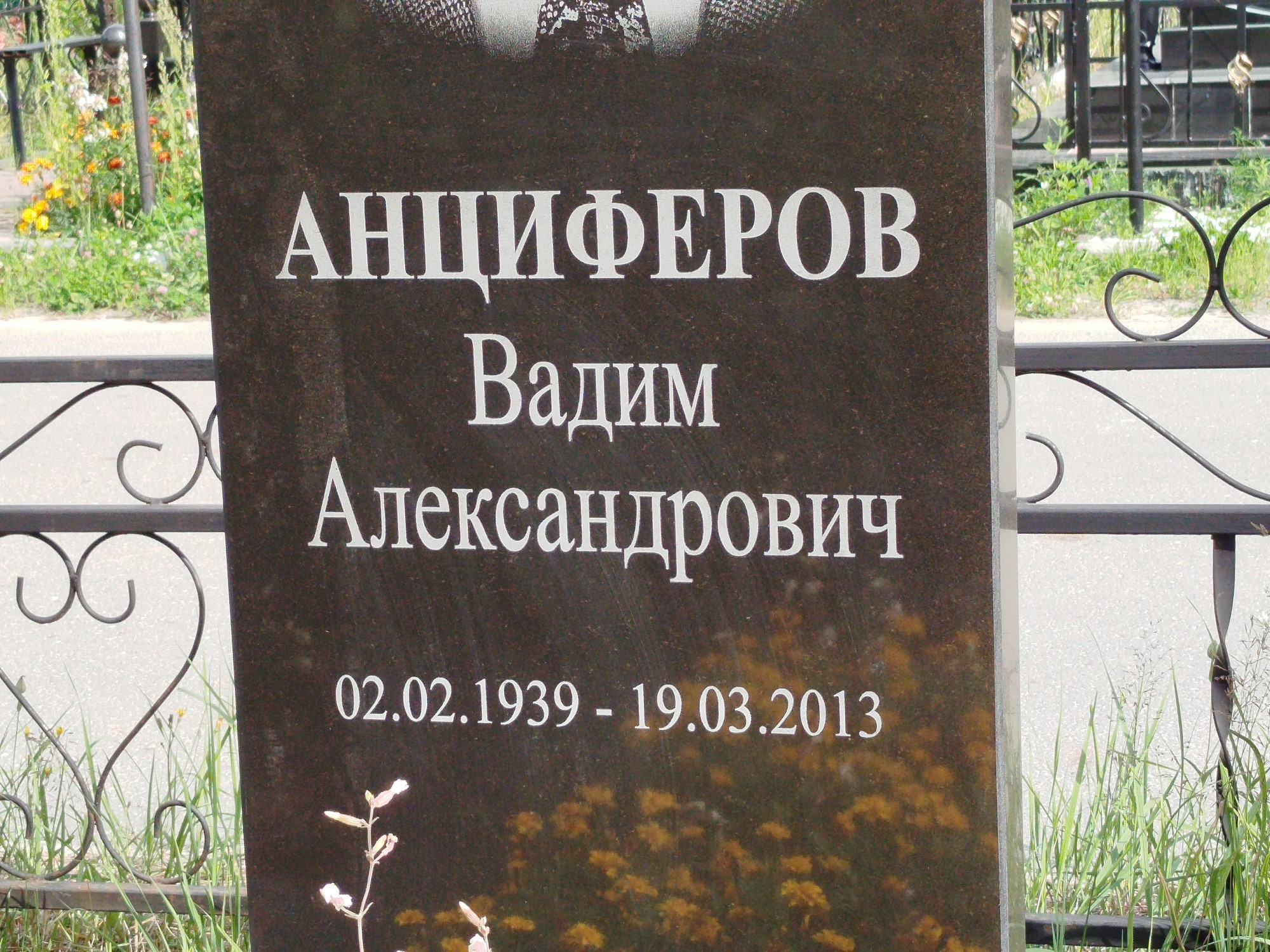 Анциферов Вадим Александрович